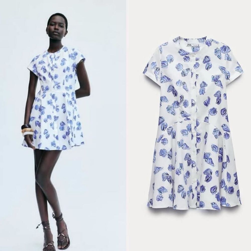 Zara White and Blue Floral Mini Dress